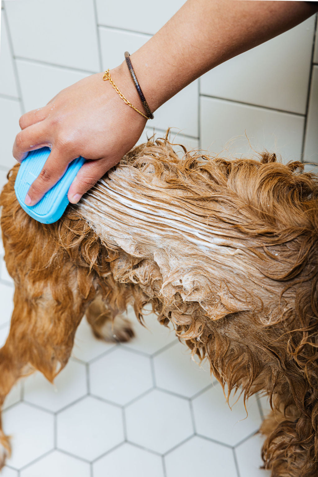Spritz Sweet Mandarin Orange and Fresh Basil (Dog Shampoo & Conditioner Duo)